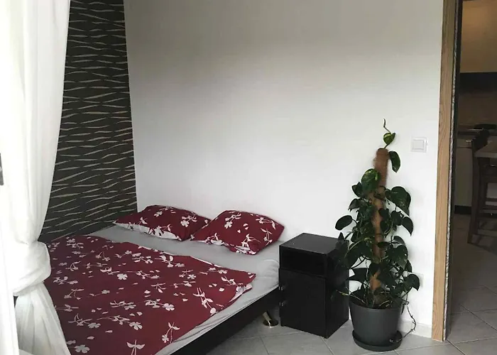 Blue Star 3 Wellness